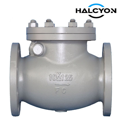 JIS 10K Swing Check Valve